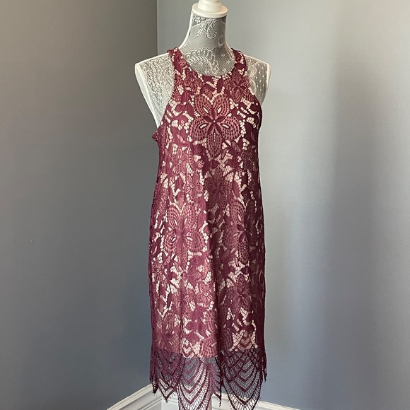 Express Lace Shift Dress - Picture 8 of 13